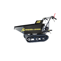 Transporteur à chenilles dumper