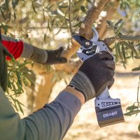 Sécateur à batterie