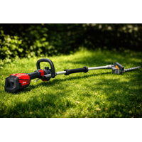 Tailles-haies perche