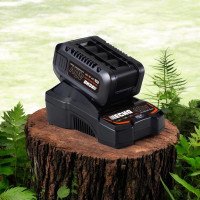 Chargeur + Batterie