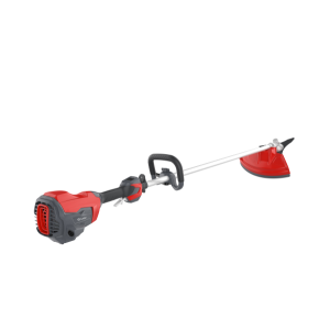 Débroussailleuse à poignée - BC2060DLPI