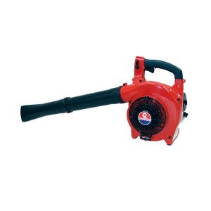 Souffleur à main BL3110